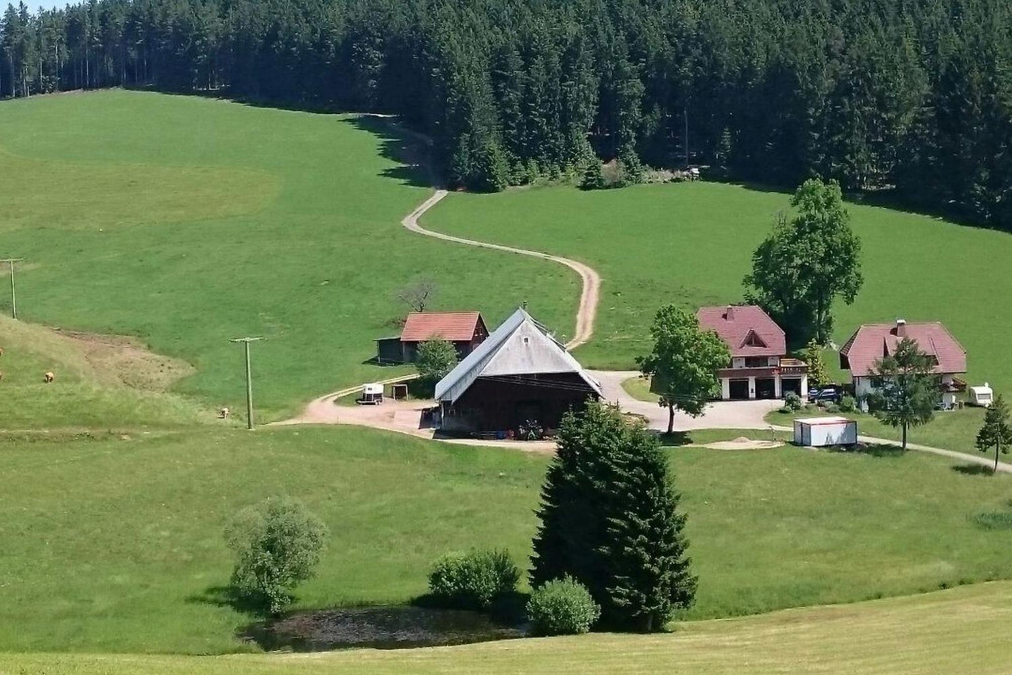 Oberengenbachhof Apartamento Eisenbach  Exterior foto